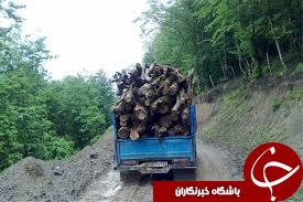 کشف 6 تن چوب قاچاق