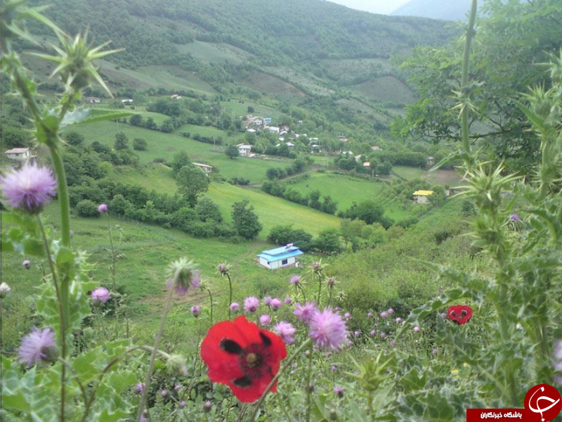 عکس هاییکه بوی زندگی می دهند ( قسمت بیست و سوم)