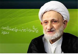 آیت الله بهجت: انسان چه قابلیتی دارد؟!