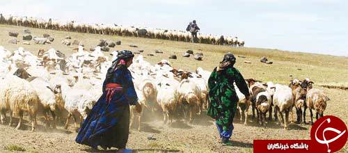 عکس هاییکه بوی زندگی می دهند ( قسمت بیست و سوم)