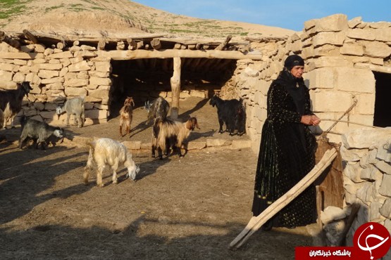 عکس هاییکه بوی زندگی می دهند ( قسمت بیست و سوم)