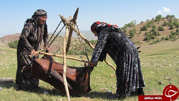 عکس هاییکه بوی زندگی می دهند ( قسمت بیست و سوم)