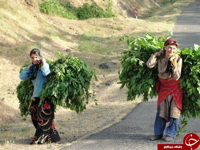 عکس هایی که بوی زندگی می&zwnj;دهند(قسمت بیست و دوم)