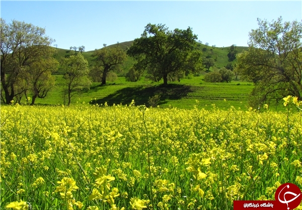 عکس هایی که بوی زندگی می&zwnj;دهند(قسمت بیست و دوم)