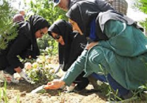 تولید 15 هزار اصل نهال از گونه‌های مختلف گیاهی