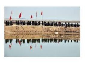 آغاز اعزام کاروان راهیان نور دریایی در بندرعباس