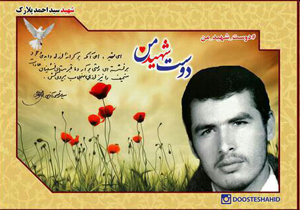 مادر «شهید پلارک» به فرزندش پیوست