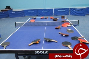 سقوط 7 پله ای نوشاد در رنکینگ