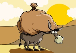 حکایت ضرب‌المثل «خر بیار و باقالی بار کن» چیست؟