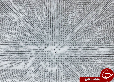 جهان در آیینه تصویر (هفته منتهی به 17 بهمن)