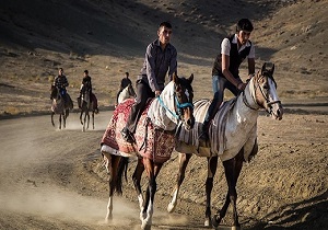 برگزاری جشنواره اسب‌سواری در شهرستان گرمی
