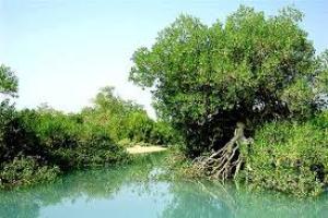 برگزاری همایش حمایت از تالابها در جزیره عجایب هفت گانه