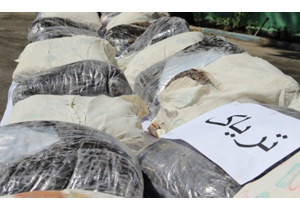 کشف 50 کیلوگرم تریاک در همدان