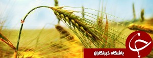 لزوم فعال کردن بخش کشاورزی در ماهشهر