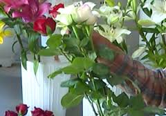 مجوز ساخت پایانه گل وگیاه در دزفول