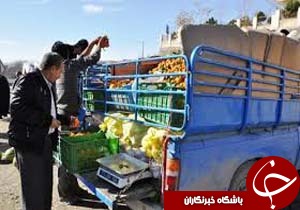 ساماندهی میوه فروشی های سیار