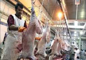 حیوانات حلال گوشت با ذبح غیر شرعی در کشور!