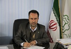 اجرای خط عابر پیاده سه بعدی برای نخستین بار در قم