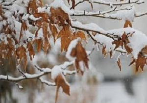 آغاز بارش برف و باران در استان چهارمحال و بختیاری