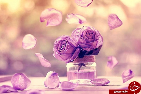 دنیای لطیف گل&zwnj;ها + تصاویر