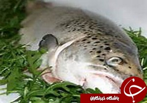 افتتاح نخستین فروشگاه اقتصاد مقاومتی گیلان