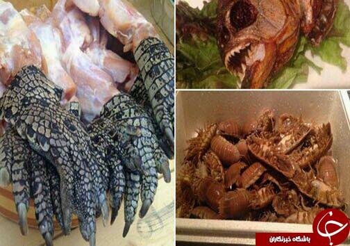 وحشتناک ترین وچندش آورترین غذاهای دنیا+تصاویر