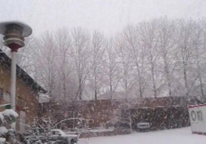 بارش زیبای برف در دهه فجر + فیلم