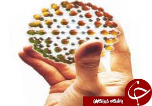 بهسازی نانوایی های ریگان