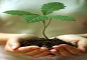 کاشت نهال مثمر در سفید کوه ازنا