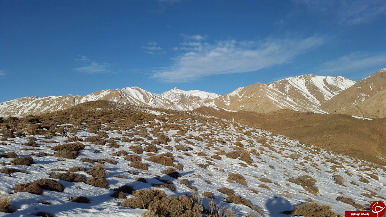 تصاویری از طبیعت شهمیرزاد