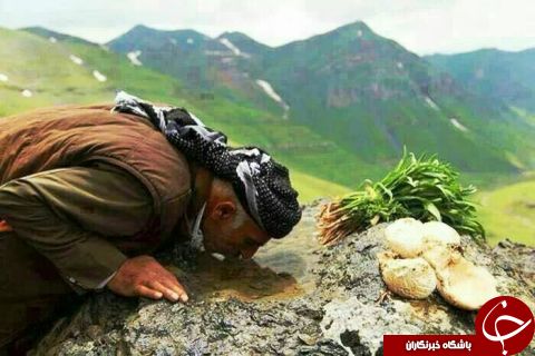عکس هایی که بوی زندگی می&zwnj;دهد(قسمت بیست و یکم)