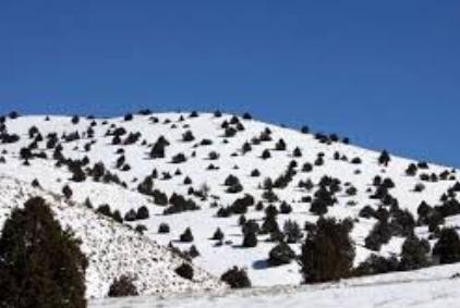 بارش برف در گلستان