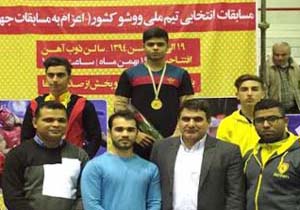 تالوکار هرمزگانی طلایی شد