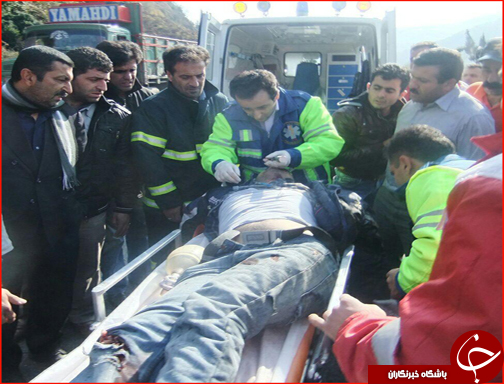 شکوه زاگرس تا قتل برادر به دست برادر