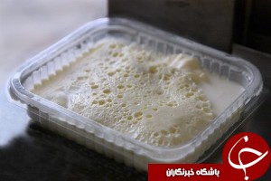 صادرات سرشیر به کویت