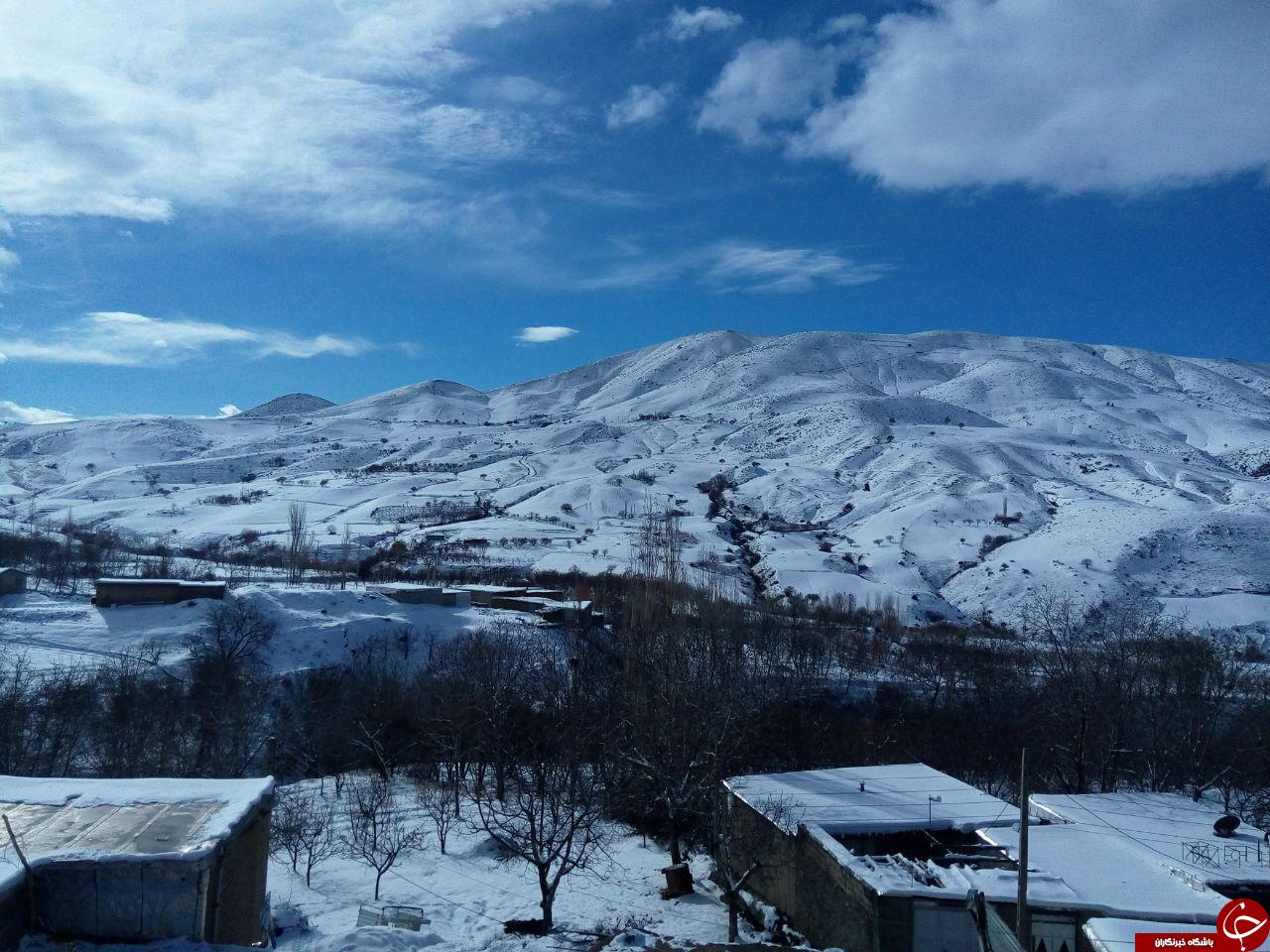 کارت پوستالی از طبیعت + عکس