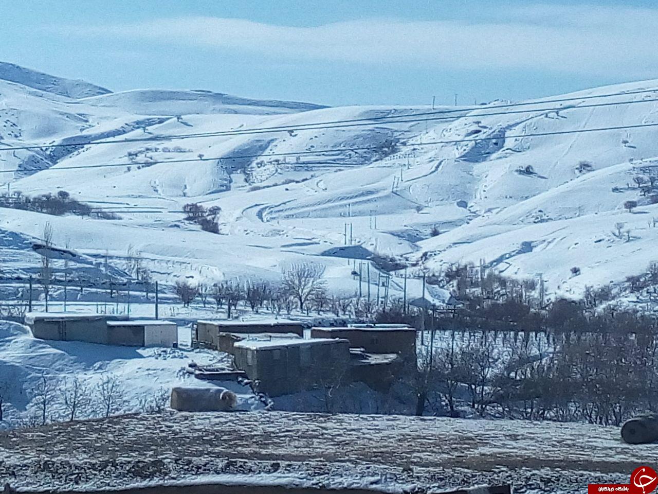 کارت پوستالی از طبیعت + عکس