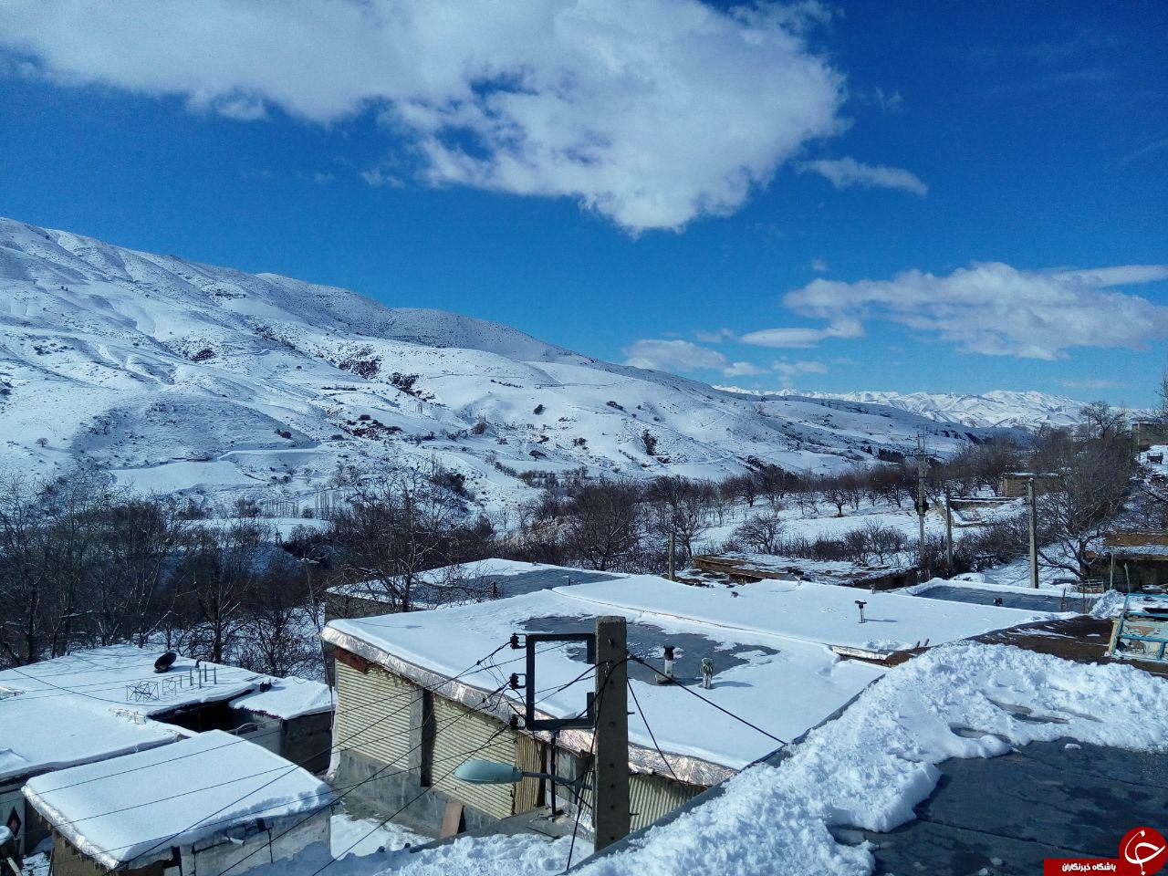 کارت پوستالی از طبیعت + عکس