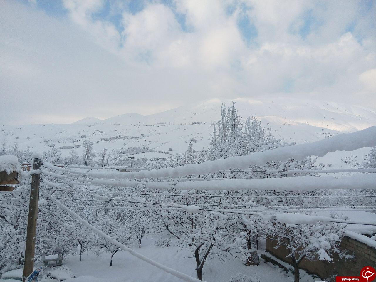 کارت پوستالی از طبیعت + عکس
