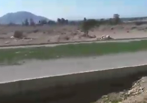 علت سبز شدن آسفالت این جاده! + فیلم