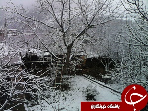 کرمانشاه سفید پوش شد
