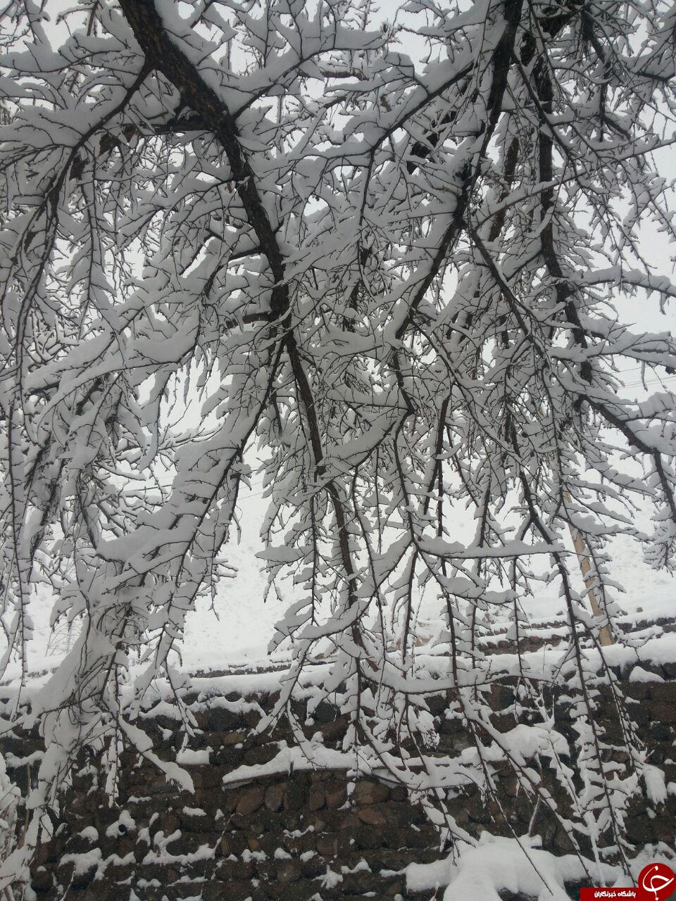 کارت پستالی از برف + عکس