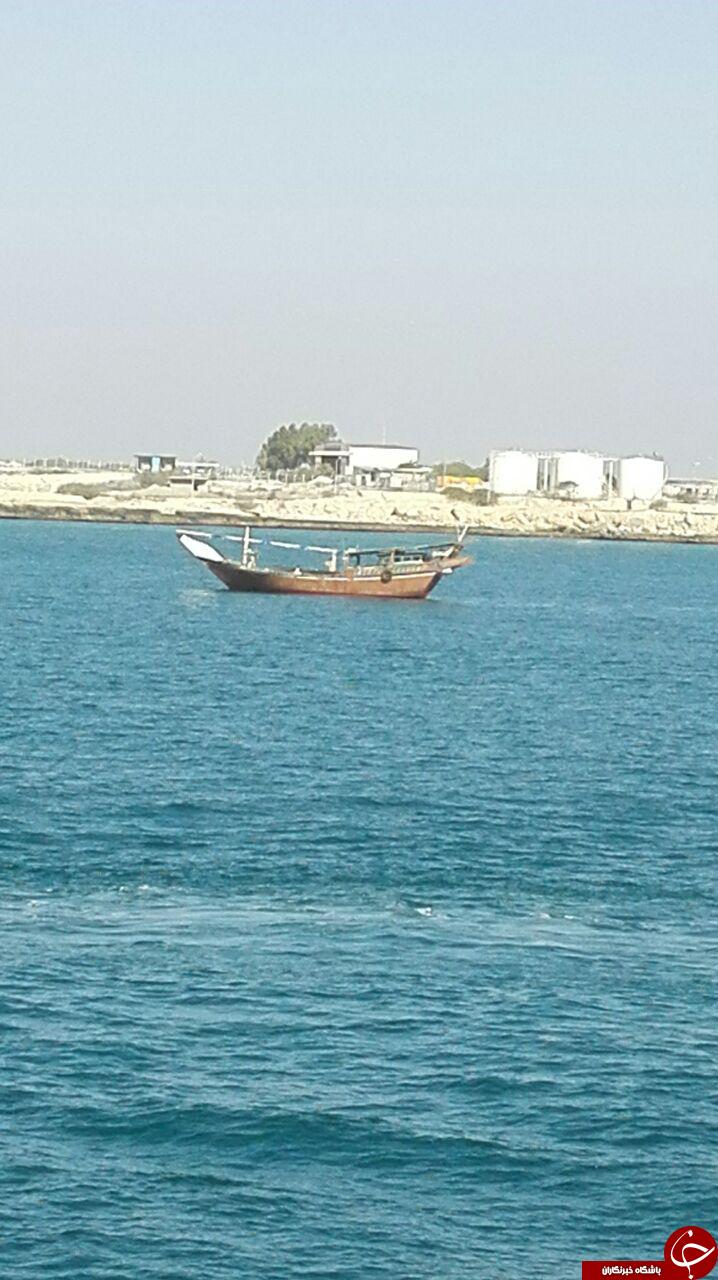 سواحل نیلگون خلیج فارس + عکس