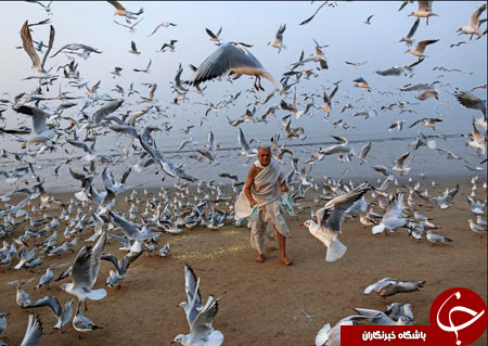 جهان در آیینه تصویر (هفته منتهی به 24 بهمن)