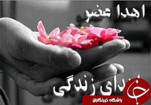 بيش از2ميليون ايرانی دارای کارت اهدای عضو