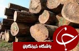 کشف و ضبط بیش از 20 تن چوب قاچاق در انزلی
