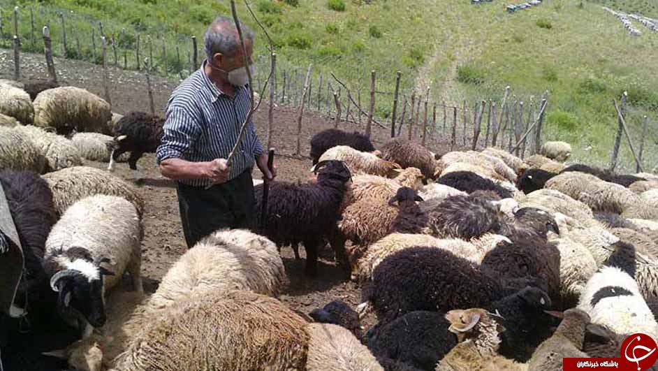 عکس هایی که بوی زندگی می&zwnj;دهند قسمت بیست و پتجم