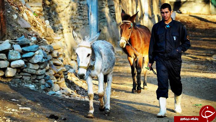 عکس هایی که بوی زندگی می&zwnj;دهند قسمت بیست و پتجم