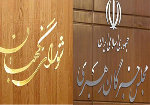 تضعیف شورای نگهبان و مجلس خبرگان ما را به کجا می‌رساند؟