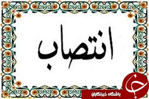 دبیرکل ستاد مسابقات قهرمانی جهان کشتی آزاد و فرنگی ناشنوایان منصوب شد